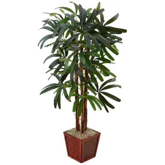 5ft. Raphis Palm Tree in Bamboo Planter {1}