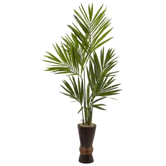 6ft. Kentia Palm Tree with Bamboo Planter {1}