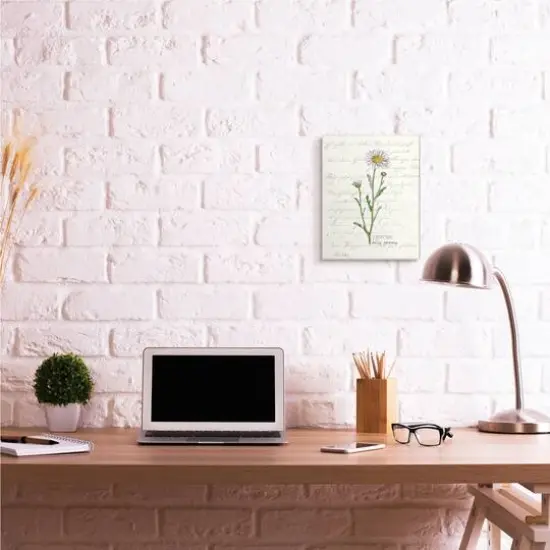 Stupell Industries Vintage Daisy Illustration Wall Plaque {3}