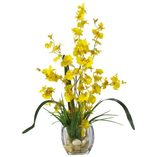 19" Yellow Dancing Lady Orchid Arrangement in Glass Vase {1}