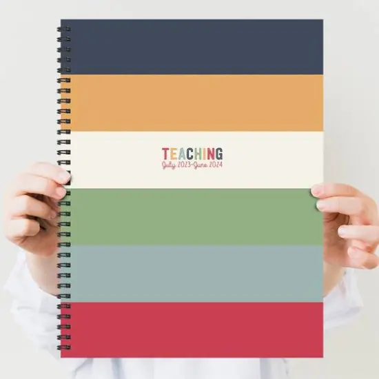 TF Publishing Striped Teacher Planner Lesson Plan Book {7}