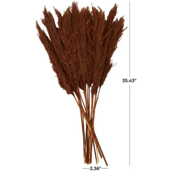 Dried Plant Pampas Natural Foliage with Long Stems Copper {8}