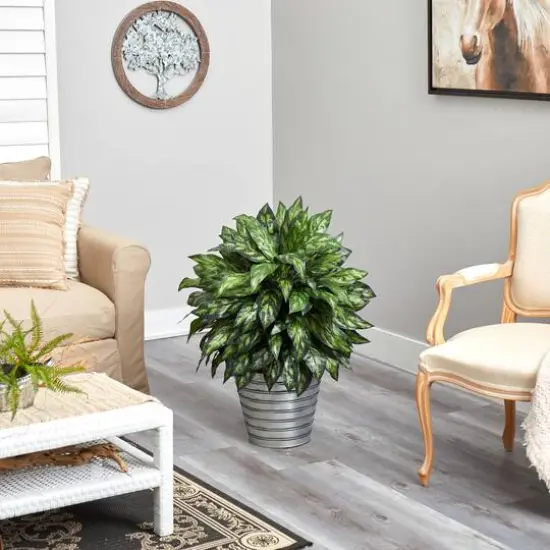 3ft. Silver King Plant in Decorative Tin Bucket {5}