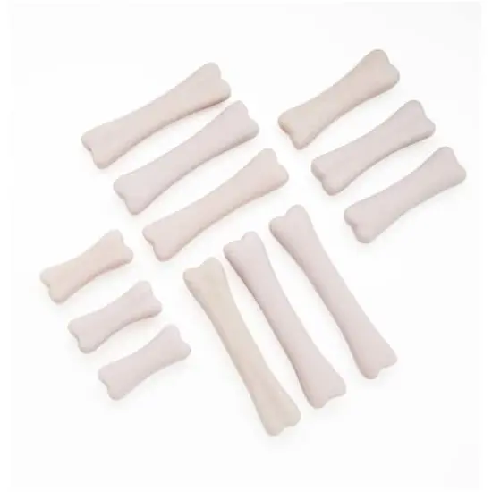 Yellow Door Dinosaur Bones Discovery Set {1}