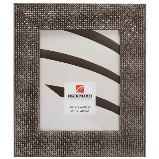 Craig Frames Glimmer Pewter Gray Picture Frame  {1}