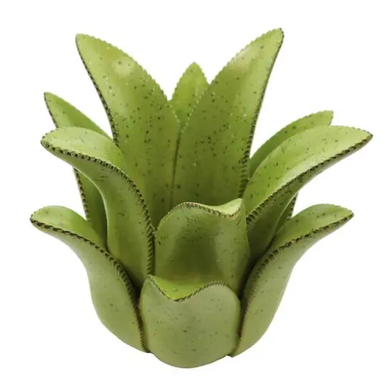 7" Green Aloe Decorative Container by Ashland&reg; {3}