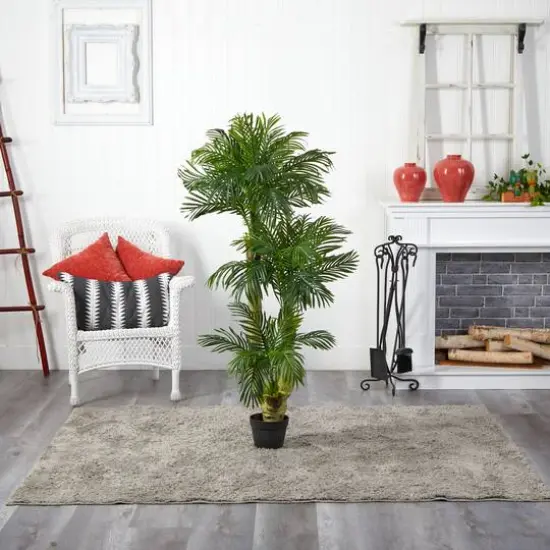 5ft. Potted Triple Phoenix Palm Tree {4}