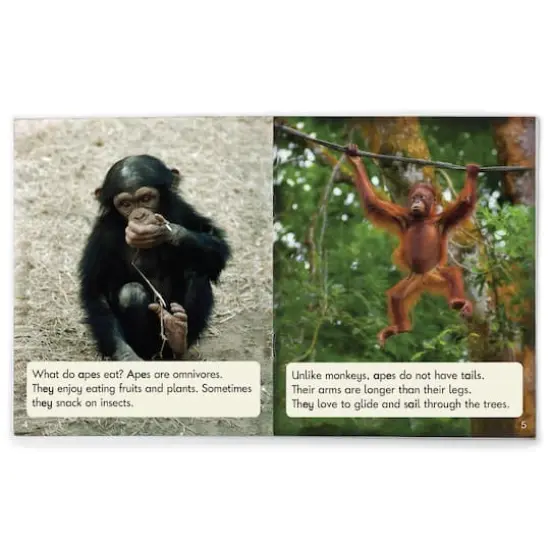 Junior Learning&reg; Decodable Readers Sound Families Long Vowels Non-Fiction Phase 5.5 {4}