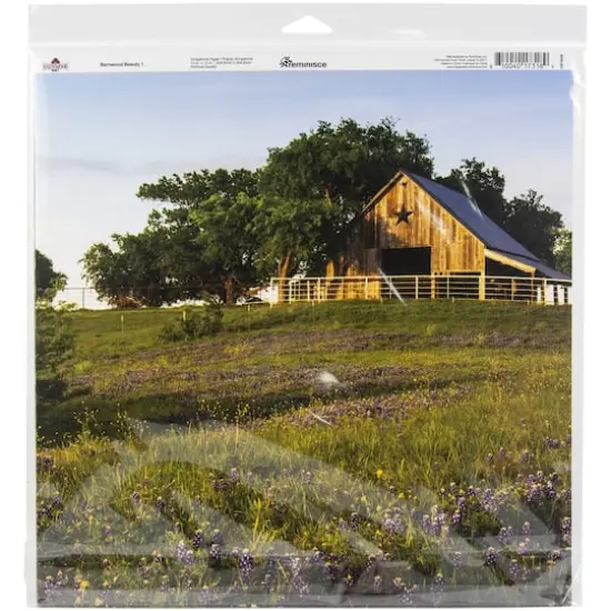 Reminisce Collection Kit 12"X12"-Barnwood Beauty {3}