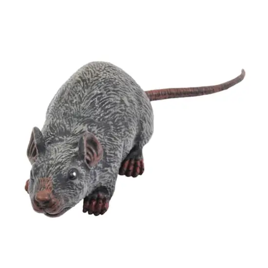 12.25" Sewer Rat by Ashland&reg; {1}