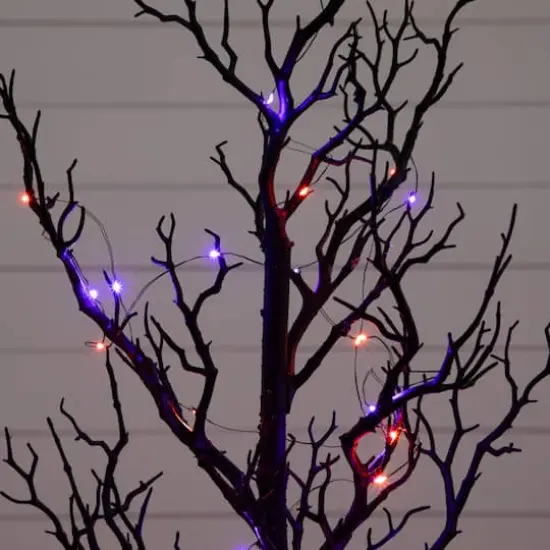 4ft. Pre-Lit Artificial Halloween Black Spooky Twig Tree with 160 Orange & Purple Copper Wire String LED Lights {6}