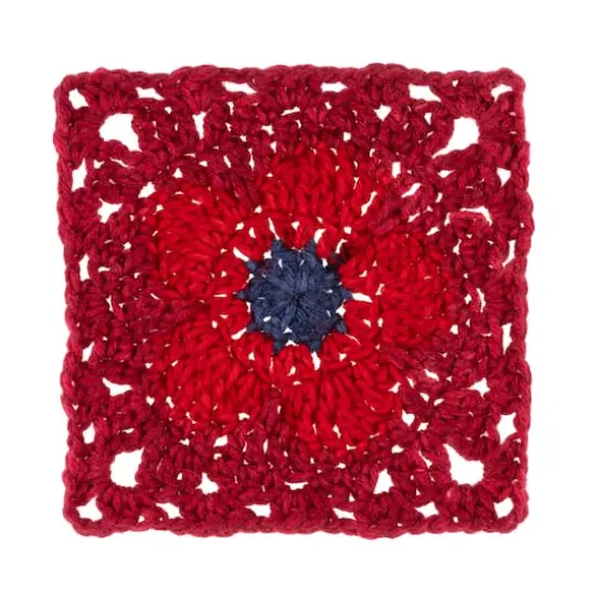 3 Pack Red Heart&reg; All In One Flower Power&trade; Yarn Burgundy Blossom {3}