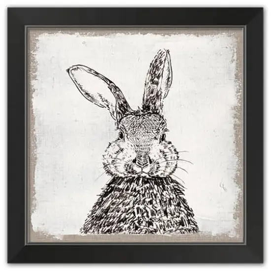 Ink Drawing Bunny Burlap 16" x 16" Black Framed Print Under Plexiglass {1}