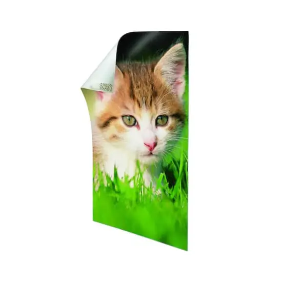 Command&trade; Poster Strips, Small White {5}