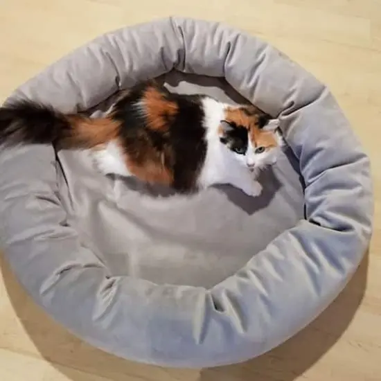 Royal Pet Bed Small Washable Luxury Velvet Dog Bed Ash {5}