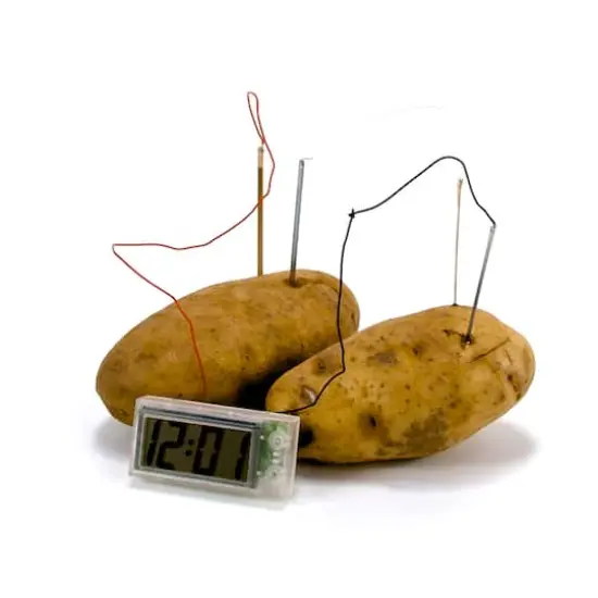Toysmith&reg; Potato Clock Kit {6}