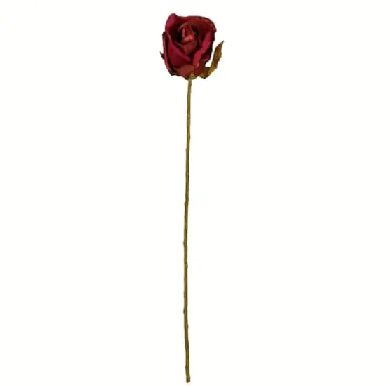 Burgundy Rose Stem, 12ct. {1}