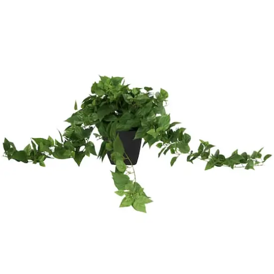 16" Green Pothos Artificial Plant with Black Plastic Pot {4}