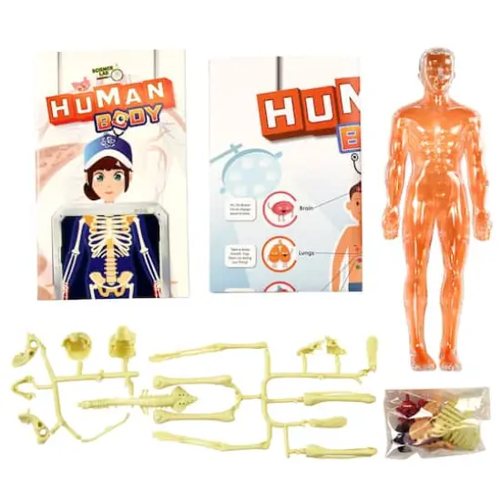 SpiceBox&trade; Science Lab Human Body Kit {1}