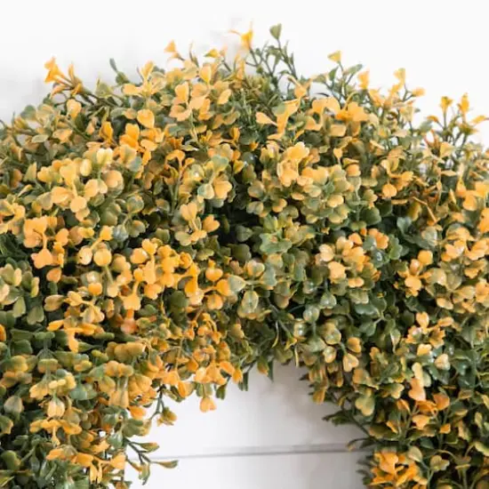 18in. Pre-Lit Autumn Boxwood Artificial Fall Wreath with 25 Warm White LED Lights {5}