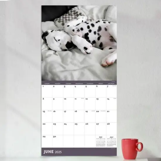 TF Publishing 2025 Dog Dreams Wall Calendar {5}