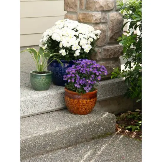 3 Jewel-Tone Flower Pot Set {6}