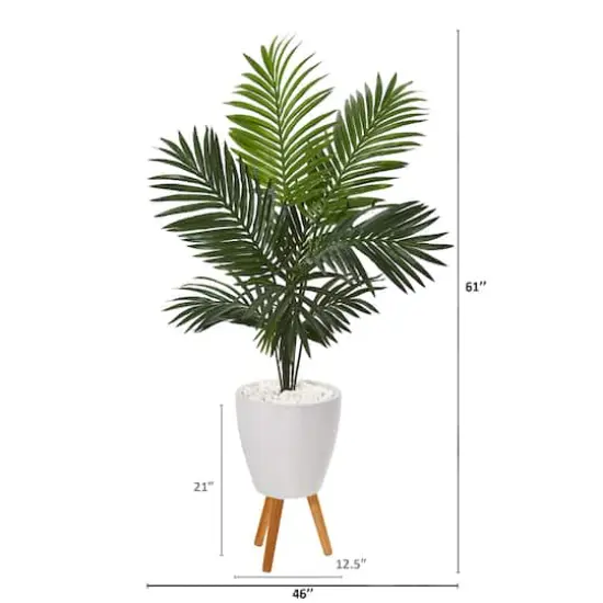 5ft. Paradise Palm Tree in White Planter with Wooden Legs {3}