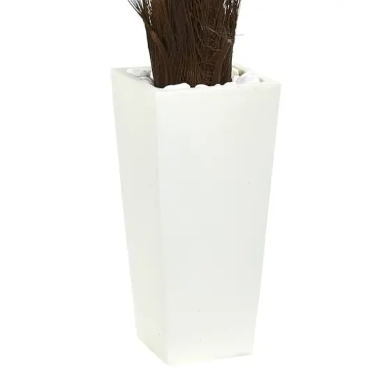 3.5ft. Cycas Tree in White Tower Planter {4}