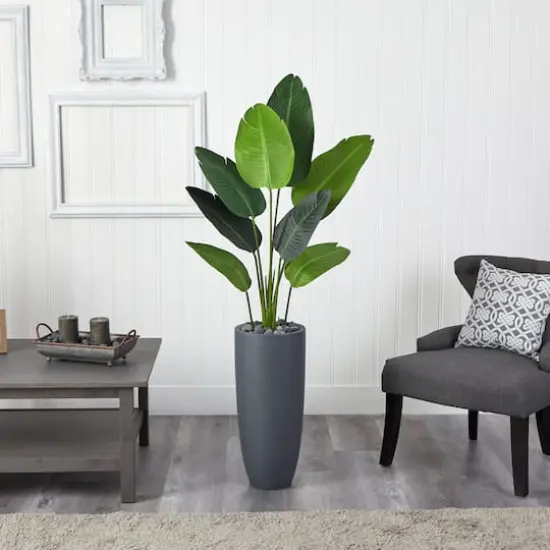 5.5ft. Traveler's Palm Tree in Gray Planter {3}