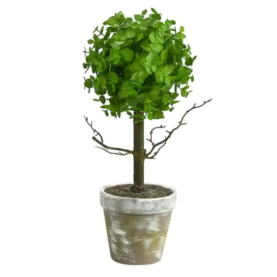 15" Potted Eucalyptus Topiary Tree {1}
