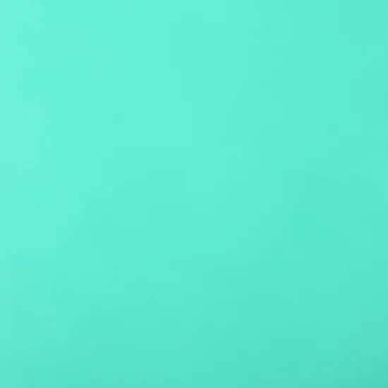 ORACAL&reg; 631 Removable Vinyl Mint 055 {4}