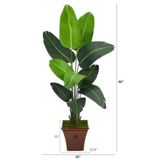 5.5ft. Travelers Palm Artificial Tree in Brown Planter {3}