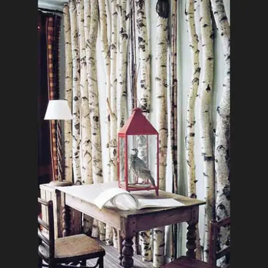 Wilson&reg; Enterprises White Birch Pole Pack {7}