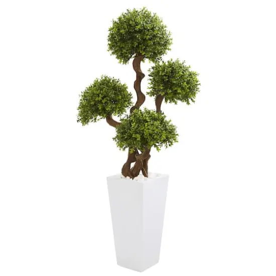 4.5ft. Four Ball Boxwood Topiary Tree in Tall White Planter {1}