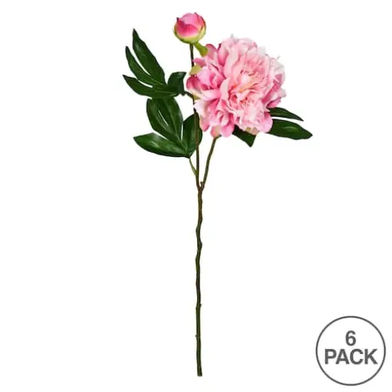 Light Pink Peony Stem, 6ct. {4}