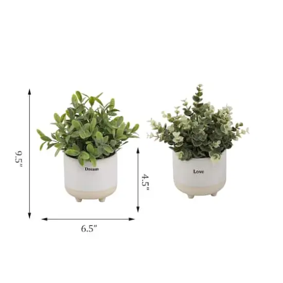 Flora Bunda&reg; 4.75" Eucalyptus In Tea Leaf In Dream Ceramic & Love TextFooted Set {3}