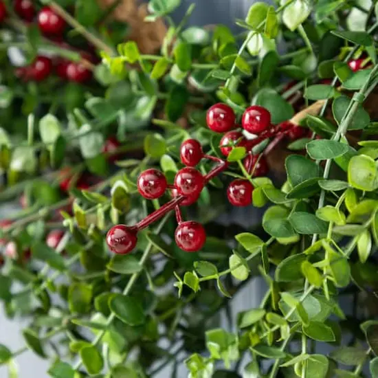 Glitzhome&reg; 28"D Christmas Greenery PE Eucalyptus Wreath with Red Berries {7}