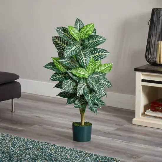 3ft. Potted Zebra Plant {6}