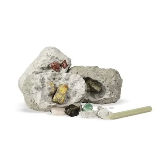 Dig It Up! - Minerals and Fossils {7}