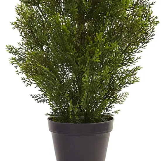 3ft. Potted Mini Cedar Pine Tree {4}