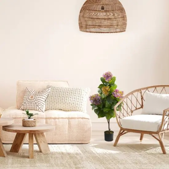 3.5ft. Potted Purple Hydrangea {5}