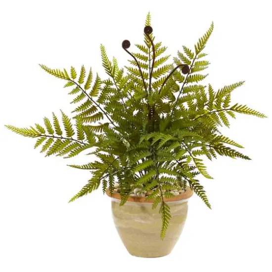 18" Fern in Ceramic Planter {1}