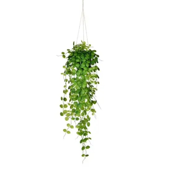 2.5ft. Green Mini Leaf Ivy in Hanging Pot {1}