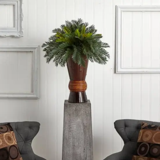 2.5ft Cycas Palm Tree in Bamboo Planter {3}