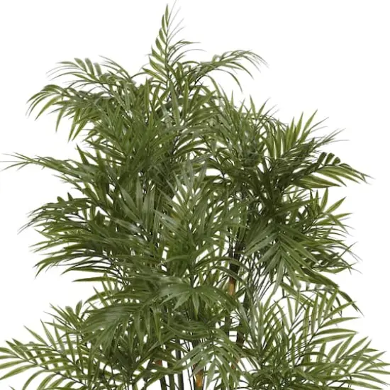4ft. Potted Parlour Palm Tree {3}