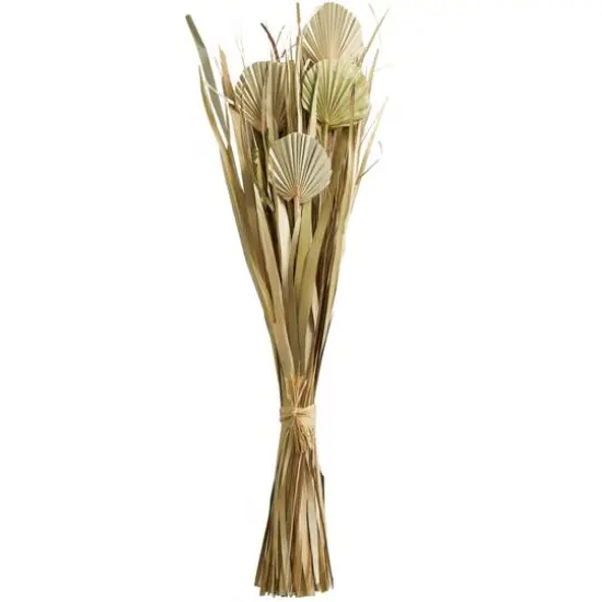 40" Green Dried Plant Bouquet Grass Natural Foliage with Fan Like Palm Leaves {1}