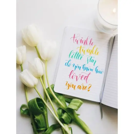 Leisure Arts&reg; 24 Color Brush & Chisel Dual Tip Marker Set {7}