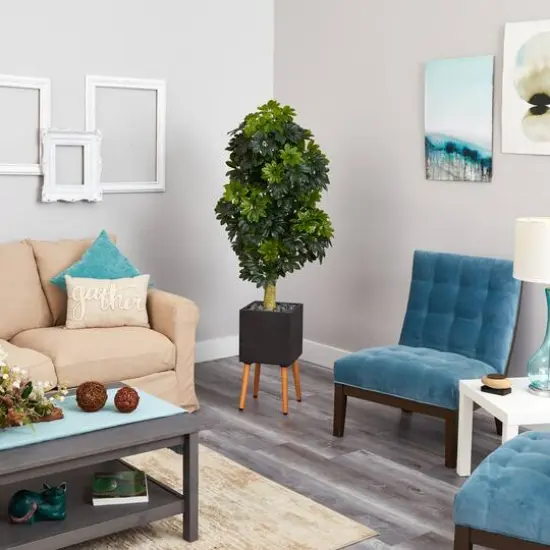 70" Schefflera Tree in Black Planter with Stand {5}