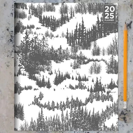 TF Publishing 2025 Gray Forest Medium Monthly Planner {7}