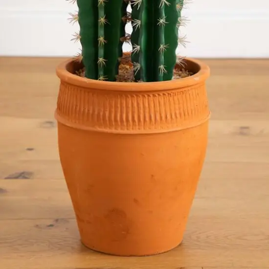 5ft. Cactus in Terracotta Planter {6}